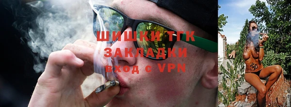 шишки Анива
