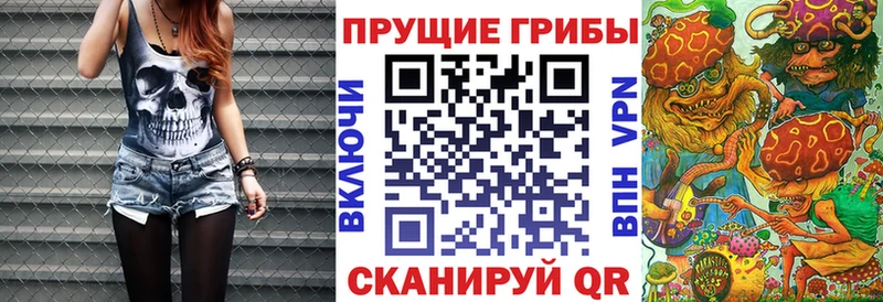 что такое   Туапсе  Псилоцибиновые грибы прущие грибы 