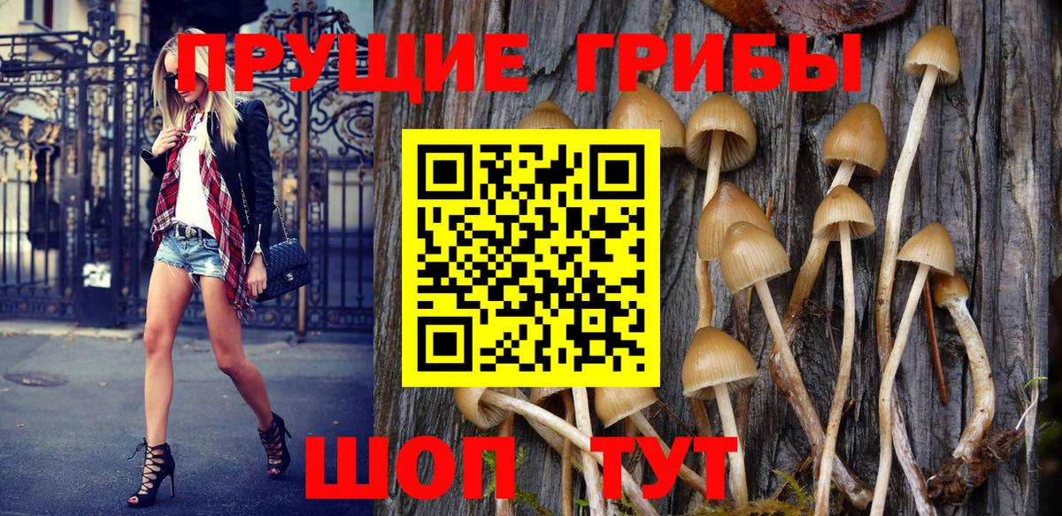 Псилоцибиновые грибы Magic Shrooms Туапсе