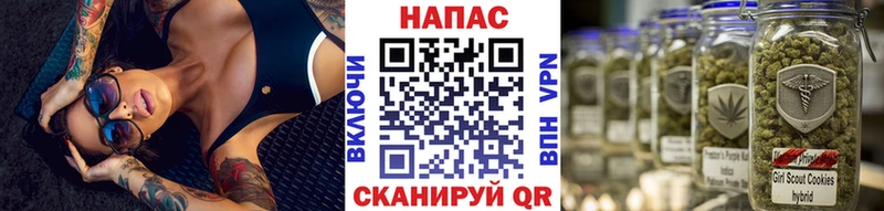 Бошки марихуана OG Kush Туапсе